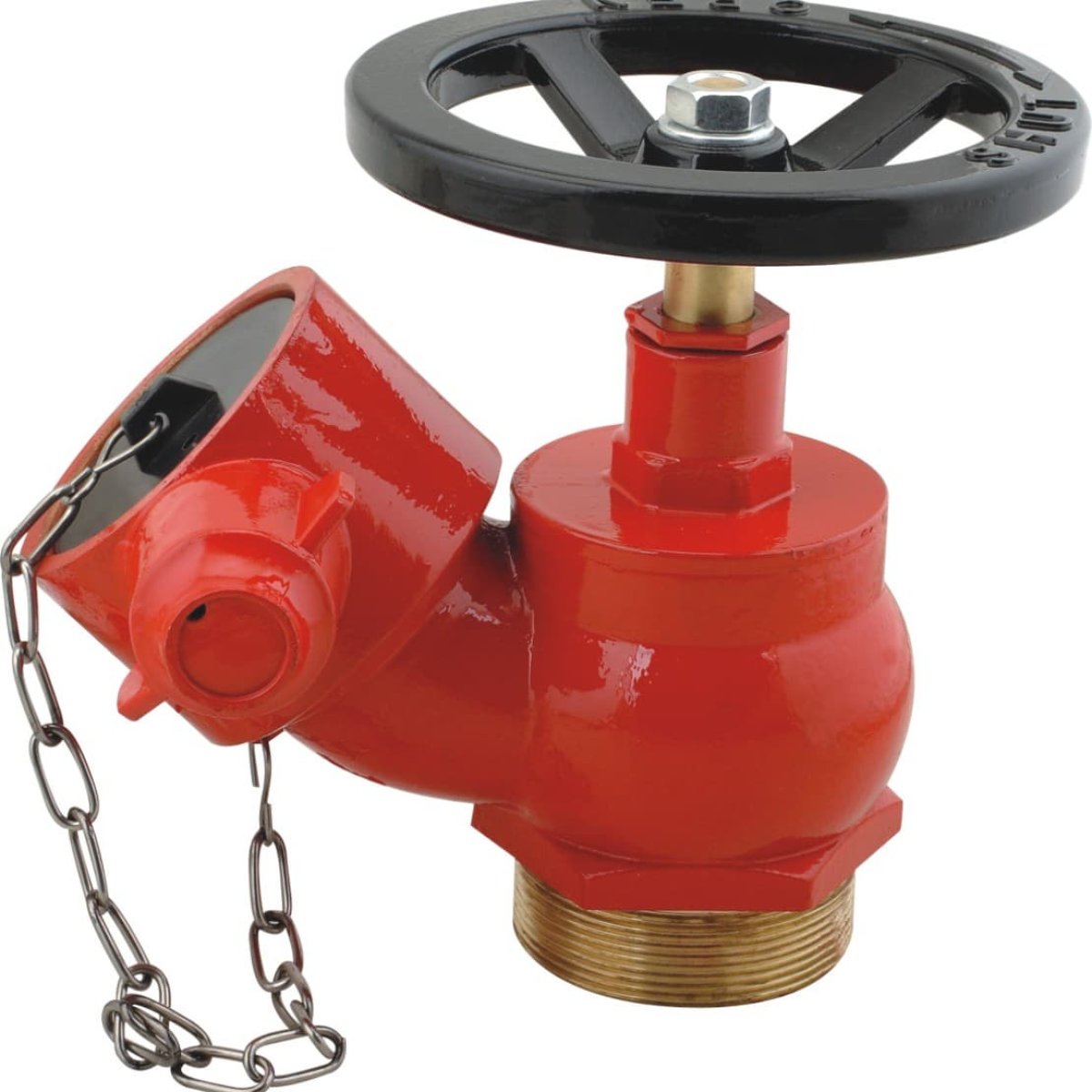 Internal Fire Hydrant Landing Valve (Flanged/Threaded, 2.5")